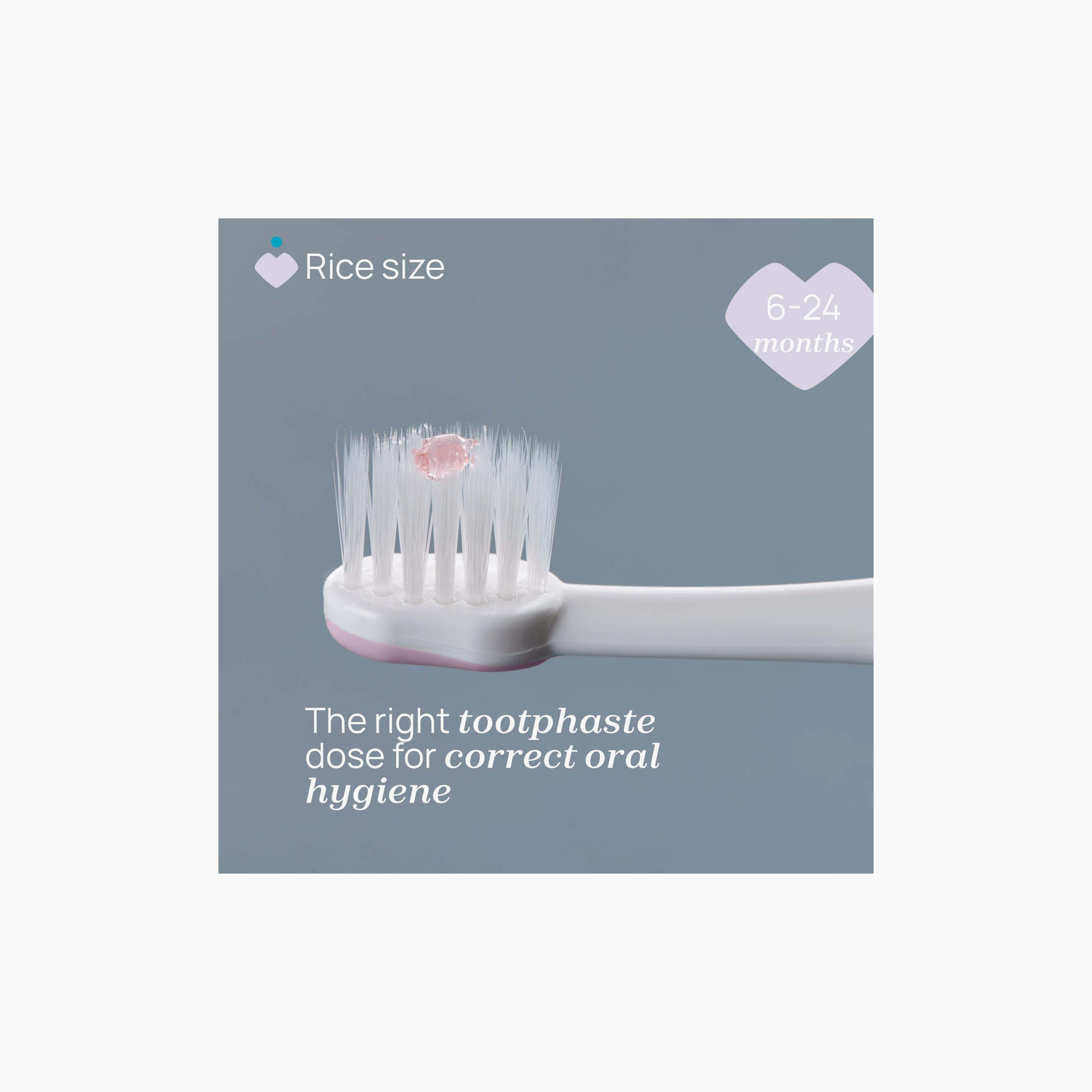 Chicco First Teeth Toothbrush - 6-36 Months-beautyandpersonalcare-babycare-teethanddentalcare-image-2