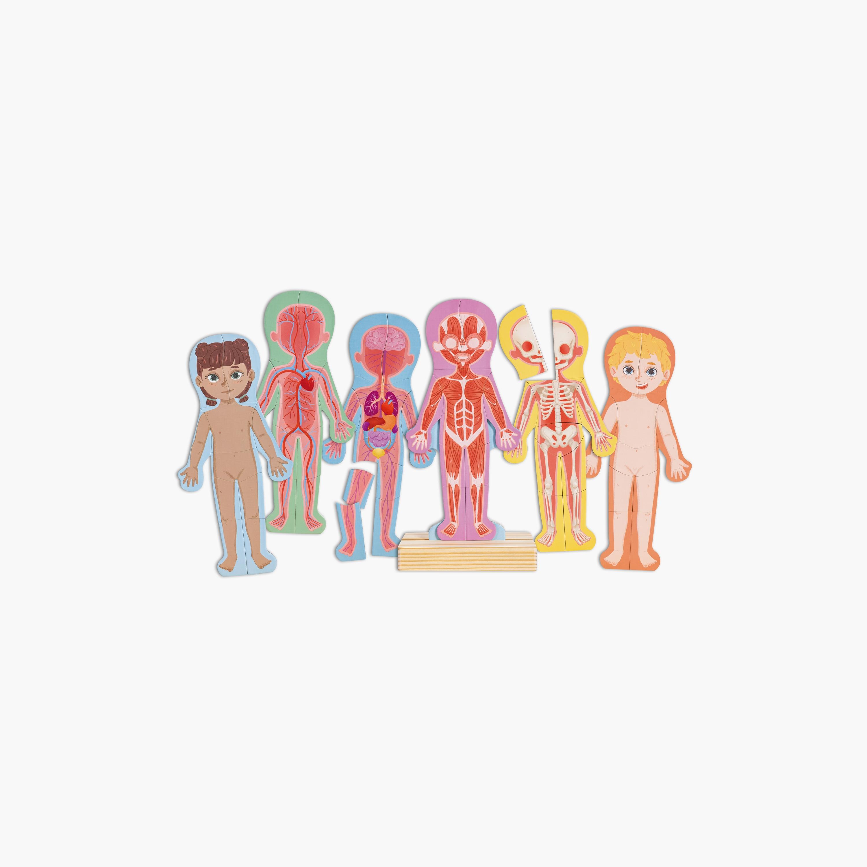 Hape 68-Piece Human Body Parts Magnetic Learning Puzzle-toys-indoortoys-puzzles-image-1