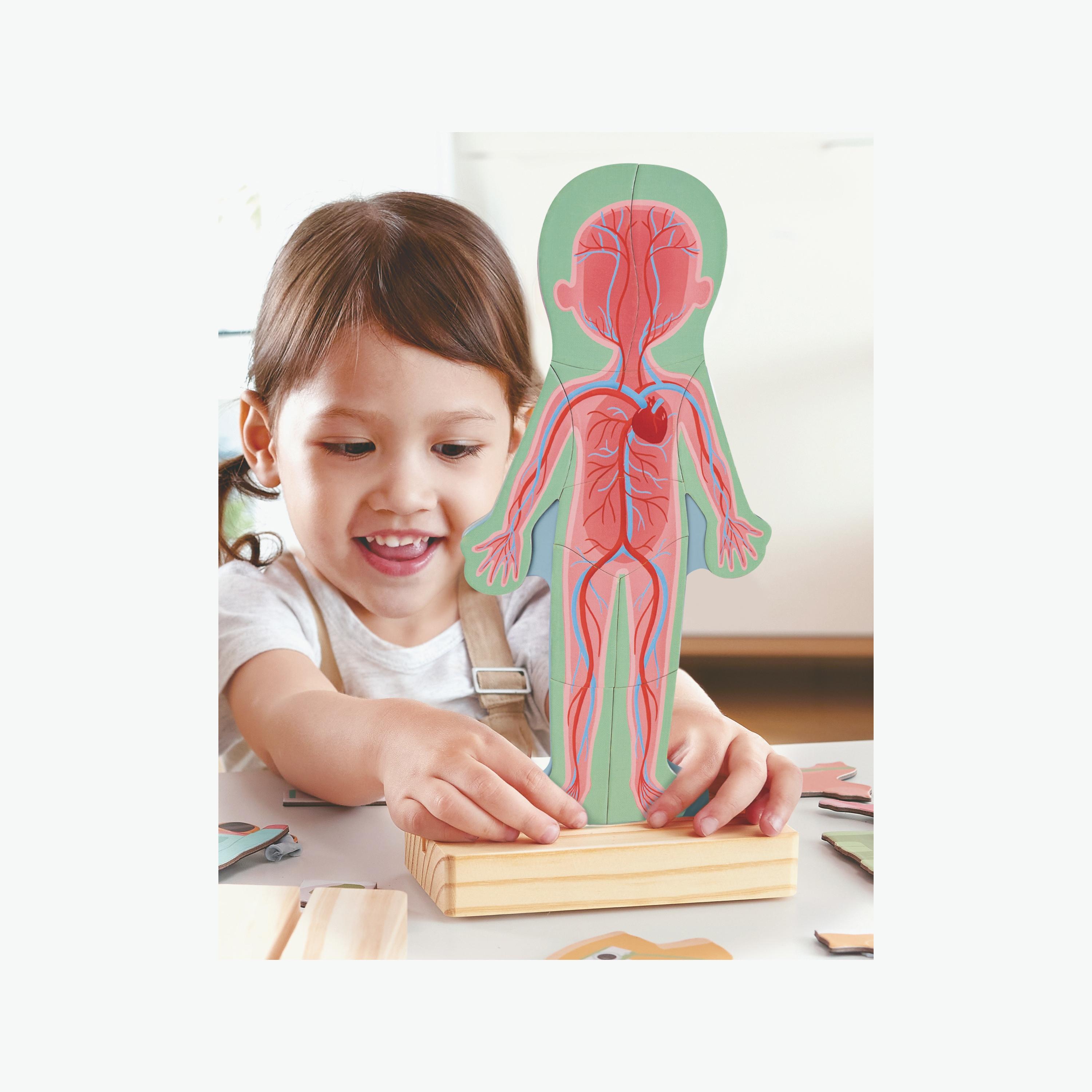 Hape 68-Piece Human Body Parts Magnetic Learning Puzzle-toys-indoortoys-puzzles-image-6