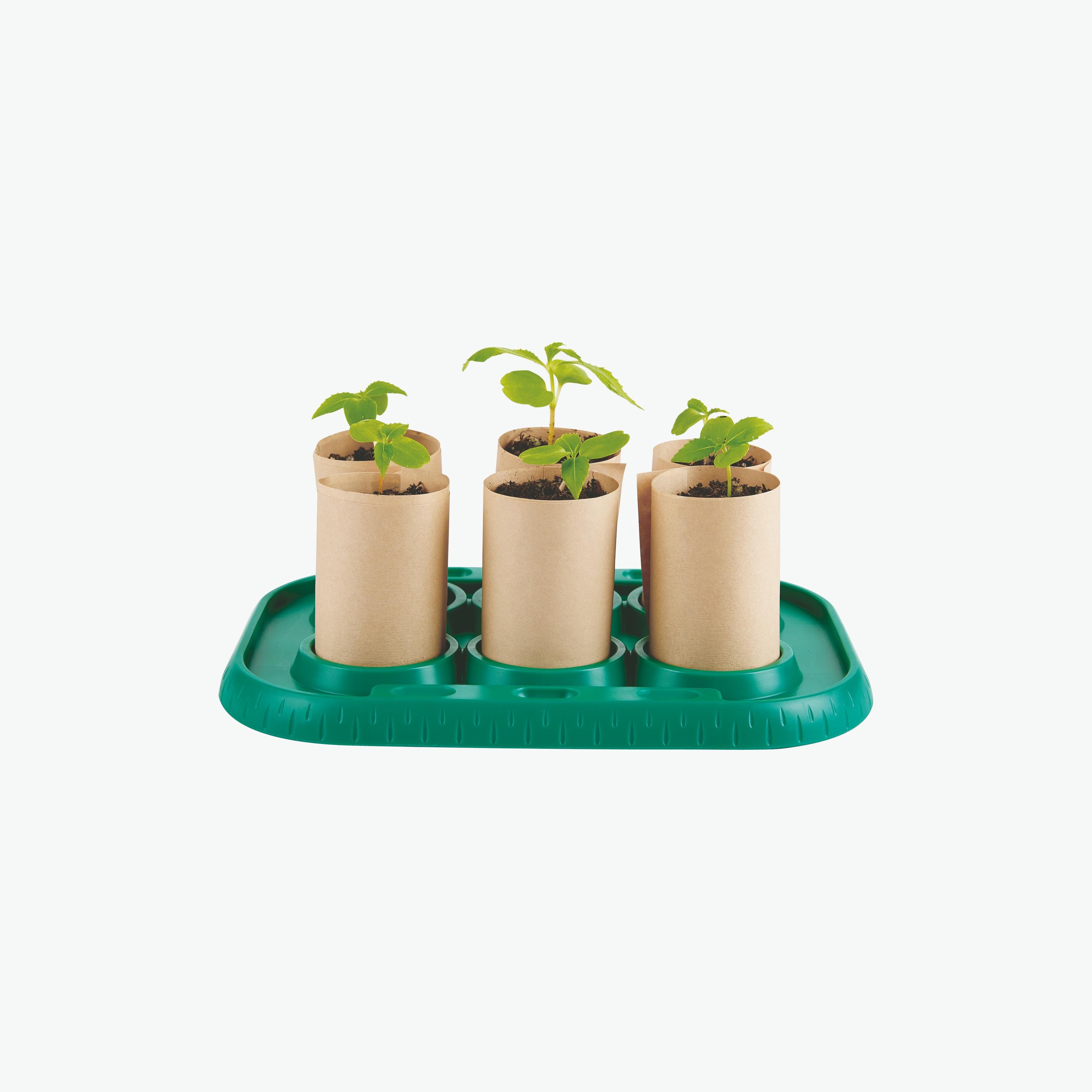 Hape Growing Gardener Mini Bamboo Green House-toys-outdoor-sports-image-2