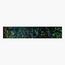 HAPE 200-Piece Glow-in-the-Dark Ocean Life Puzzle-InfluencerCodes_Ramadan26_All_20012026-image-2