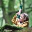 HAPE Nature Fun Hide-and-Seek Periscope-InfluencerCodes_Ramadan26_All_20012026-image-4