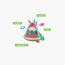 Eurekakids 4-in-1 Inflatable Sports Activity Center Outdoor Toy-InfluencerCodes_Ramadan26_All_20012026-image-8