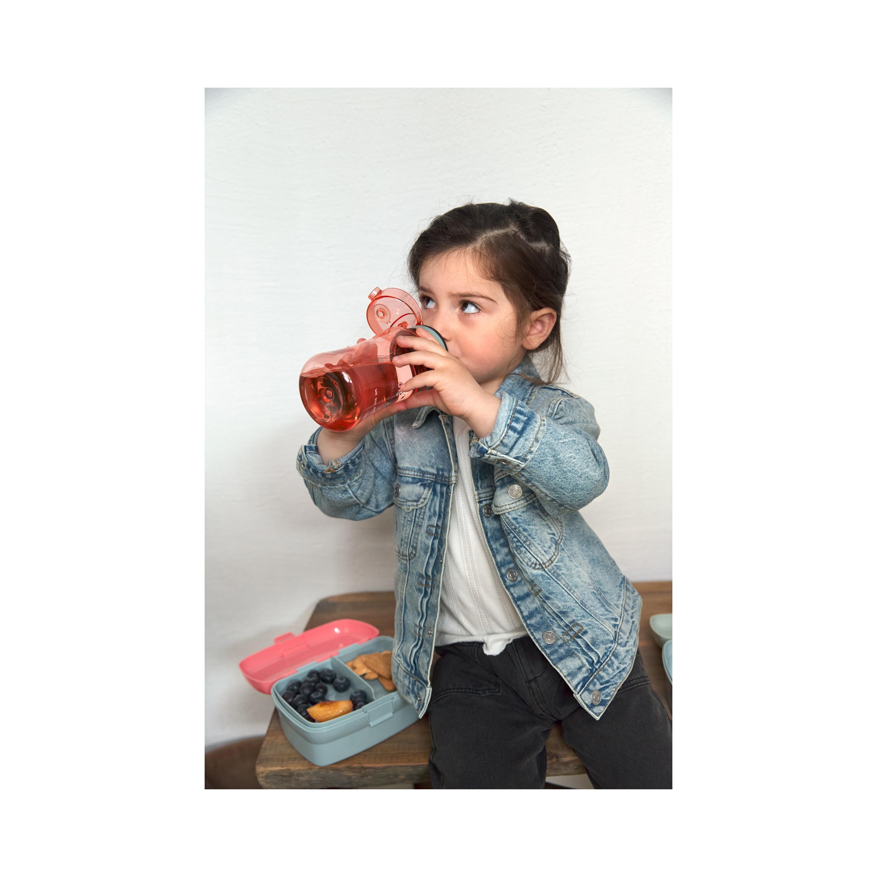 LASSIG About Friends Lunchbox with Drinking Bottle Set - Dino - Rose-school-lunchessentials-sets-image-8