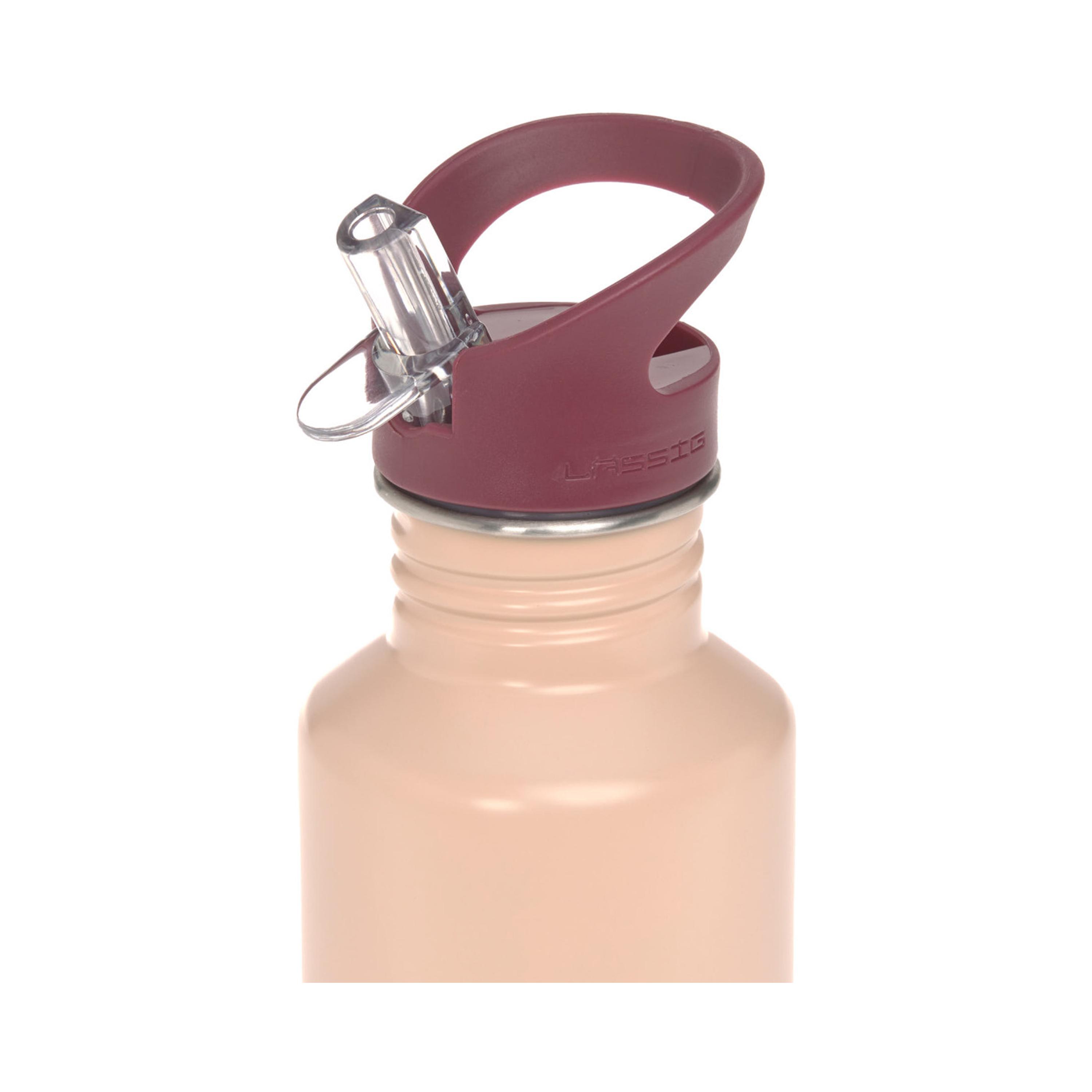 LASSIG Stainless Steel Drinking Bottle - 500 ml-school-waterbottles-image-3