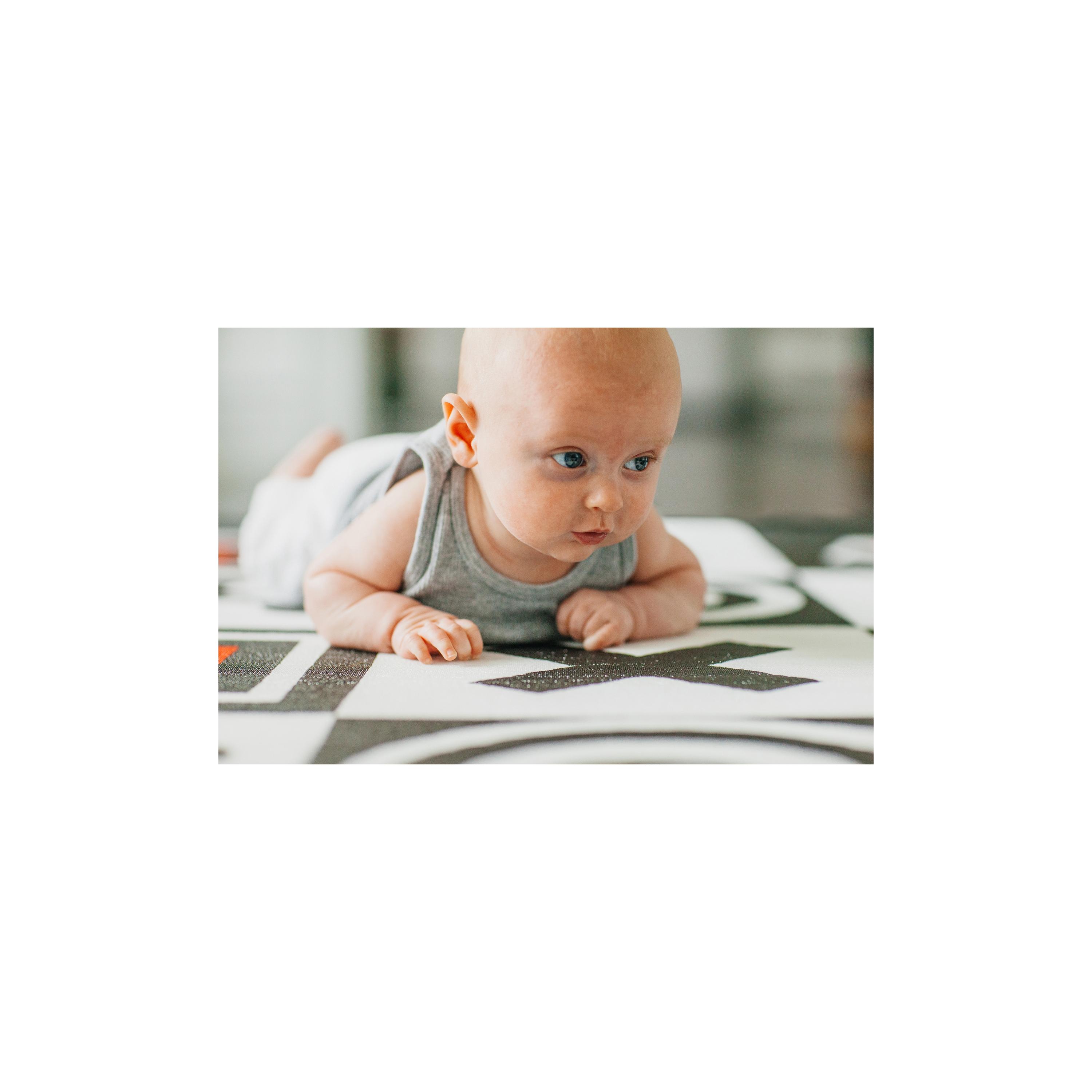 سجادة لعب تطوير مع حقيبة حمل من برينس ليونهارت - أشكال هندسية ومزرعة-baby-infantactivity-image-5