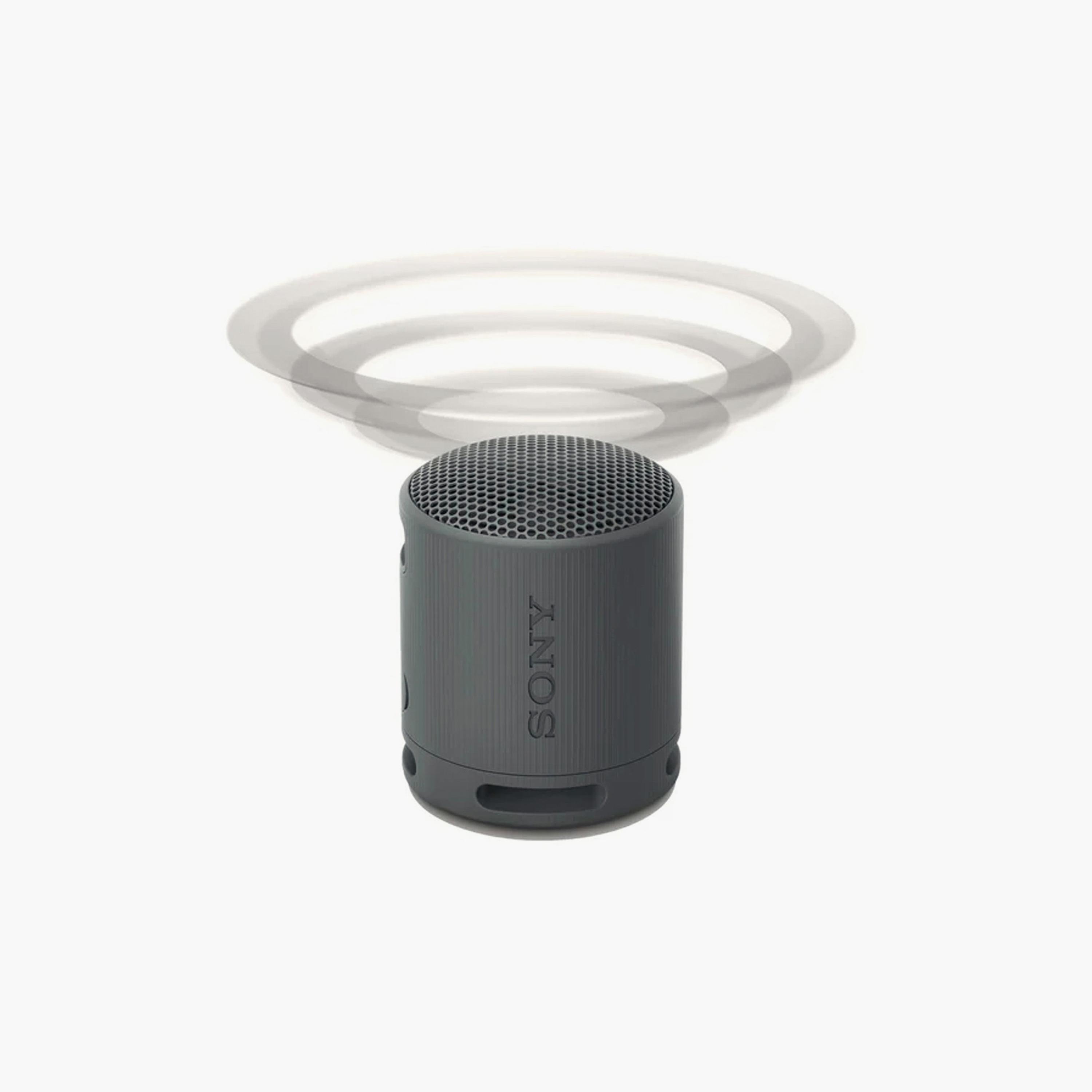 Sony Wireless Bluetooth Portable Speaker Grey | SRSXB100/L-electronics-speakers-image-6
