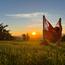 LA SIESTA Udine Outdoor Swing Hammock with Wooden Stand-InfluencerCodes_Ramadan26_All_20012026-image-14
