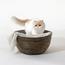 Home Kode Quilla Handmade Pet Basket - 45x45x19 cm-InfluencerCodes_Ramadan26_All_20012026-image-2