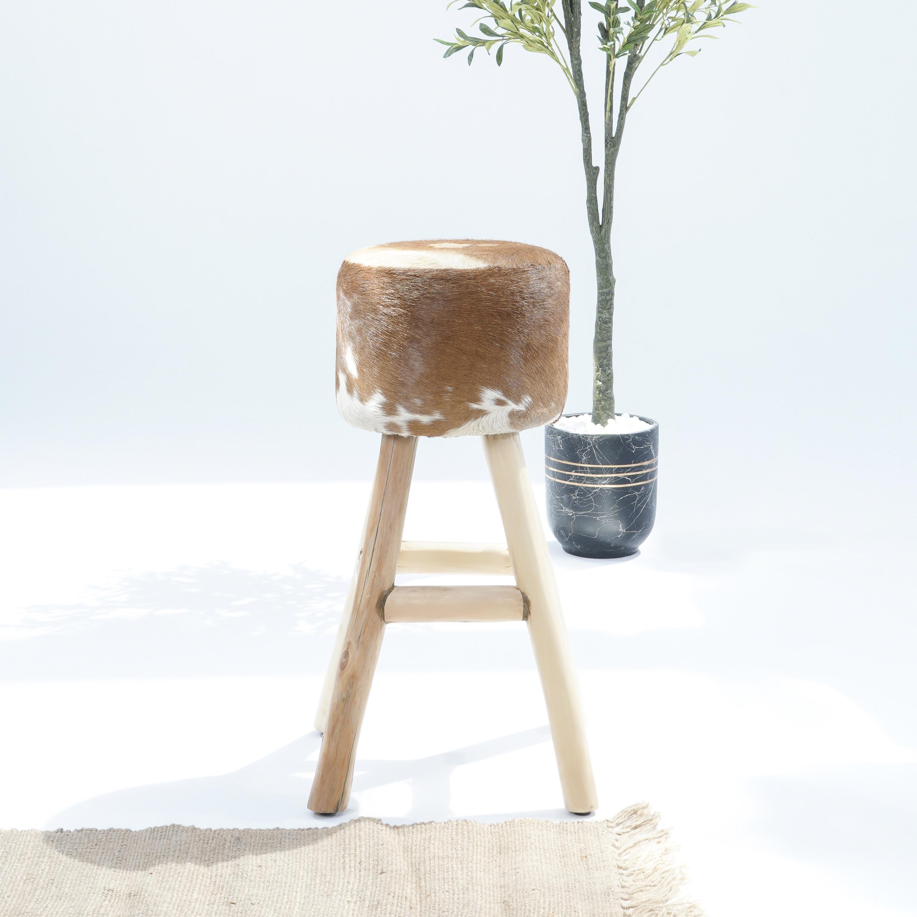 Art and Craft Leather Stool