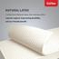 Kurlon Spring Rest Zoned Pocket Spring Memory Foam Medium-Firm Single Mattress - 200x90x25 cm-InfluencerCodes_Ramadan26_All_20012026-image-7