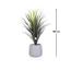 Otath Yucca Cactus Plant in Pot - 100 cm-InfluencerCodes_Ramadan26_All_20012026-image-2