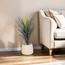 Otath Yucca Cactus Plant in Pot - 100 cm-InfluencerCodes_Ramadan26_All_20012026-image-1