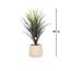 Otath Yucca Cactus Plant in Pot - 100 cm-InfluencerCodes_Ramadan26_All_20012026-image-2