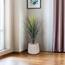 Otath Yucca Cactus Plant in Pot - 100 cm-InfluencerCodes_Ramadan26_All_20012026-image-1