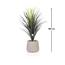 Otath Yucca Cactus Plant in Pot - 100 cm-InfluencerCodes_Ramadan26_All_20012026-image-2