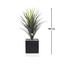 Otath Yucca Cactus Plant in Pot - 105 cm-InfluencerCodes_Ramadan26_All_20012026-image-2