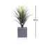Otath Yucca Plant in Pot - 105 cm-InfluencerCodes_Ramadan26_All_20012026-image-2