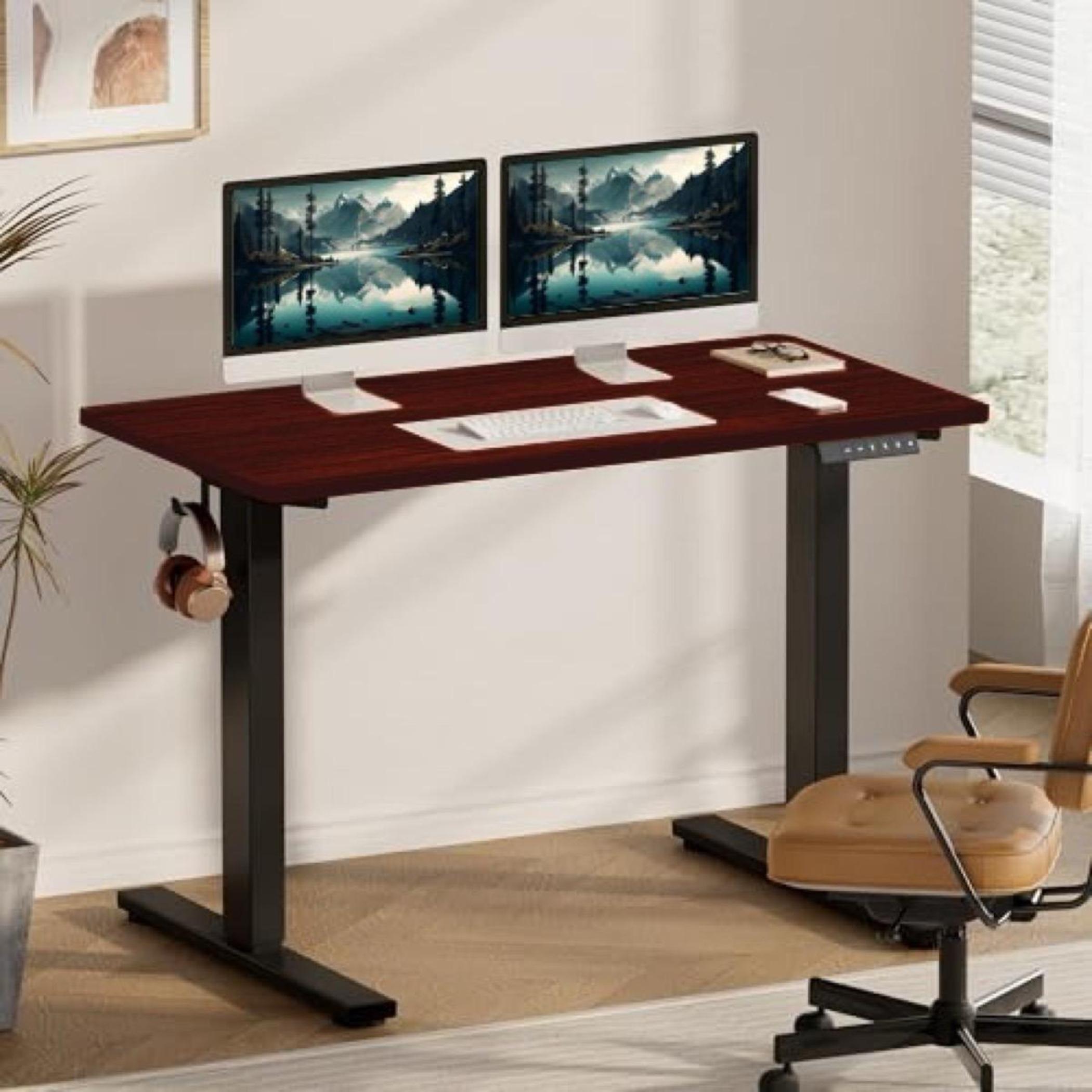 Flexispot Standing Desk