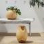 Suar Vase - Set of 2-InfluencerCodes_Ramadan26_All_20012026-image-1