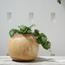 Suar Vase - Set of 2-InfluencerCodes_Ramadan26_All_20012026-image-3