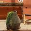 Woonen Sea Grass Vase - 50 cm-InfluencerCodes_Ramadan26_All_20012026-image-6