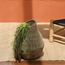 Woonen Sea Grass Vase - 50 cm-InfluencerCodes_Ramadan26_All_20012026-image-1