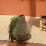 Woonen Sea Grass Vase - 50 cm-InfluencerCodes_Ramadan26_All_20012026-image-2