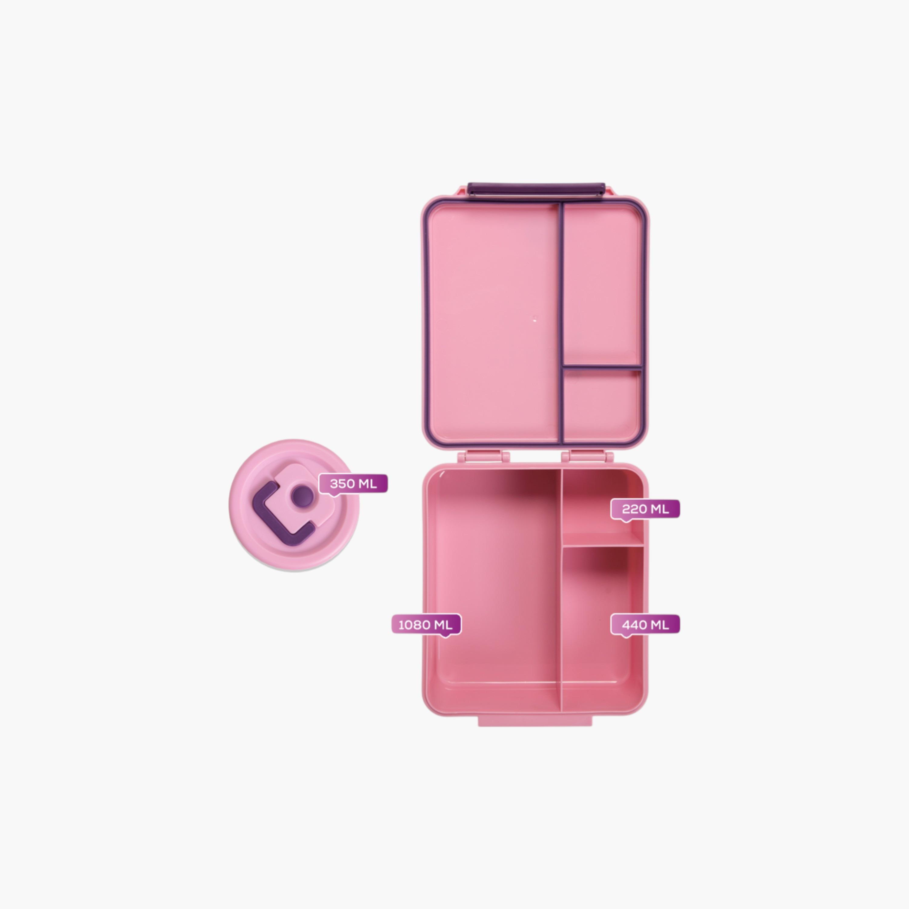 صندوق غداء بنتو بطبعات مع جرة طعام ستيل من هيدروبرو-school-lunchessentials-lunchboxes-image-9