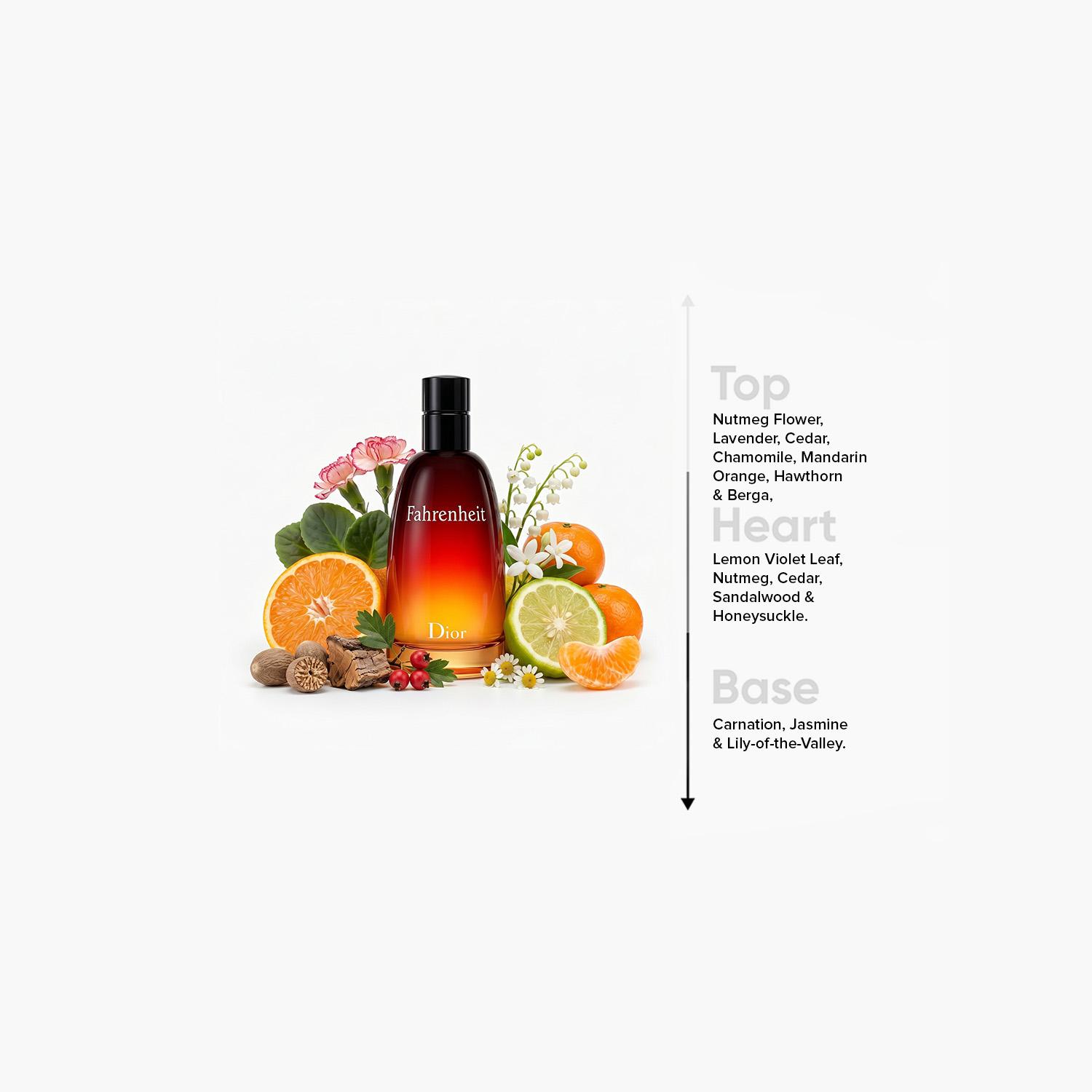 Christian Dior Fahrenheit Eau de Toilette for Men - 200 ml-beautyandpersonalcare-fragrance-men-image-4