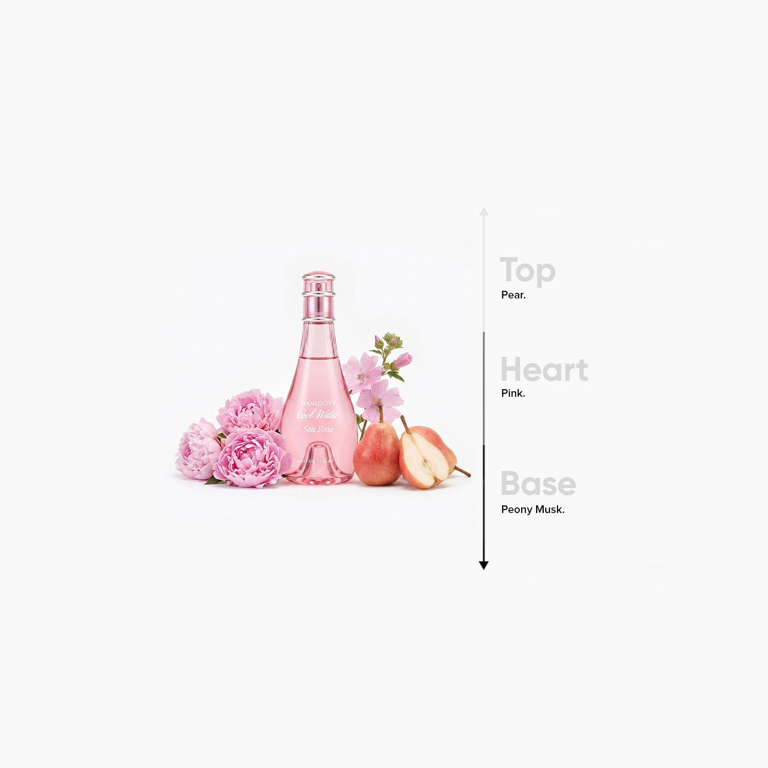 عطر أو دي تواليت سي روز للنساء من دافيدوف كول ووتر - 100 مل-beautyandpersonalcare-fragrance-women-image-4