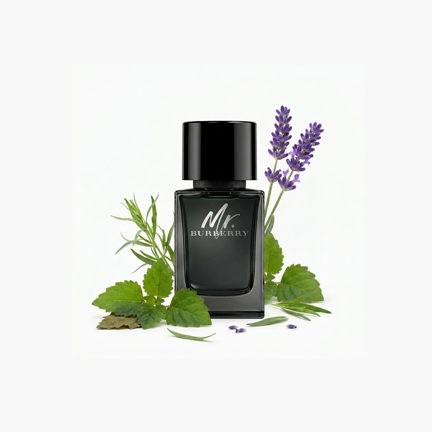 Burberry Mr. Burberry Eau de Parfum for Men - 50 ml-beautyandpersonalcare-fragrance-men-image-3