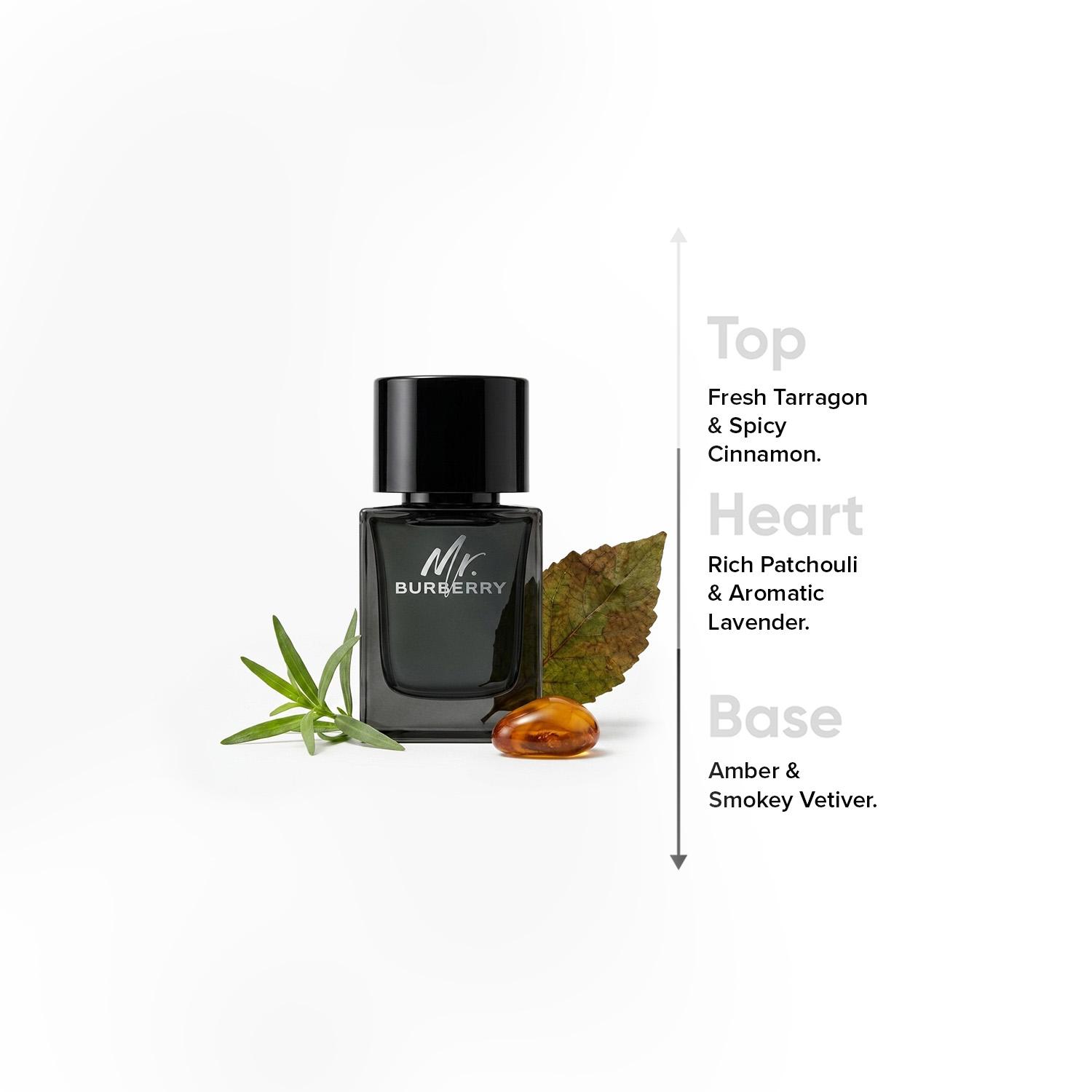 Burberry Mr. Burberry Eau de Parfum for Men - 50 ml-beautyandpersonalcare-fragrance-men-image-4