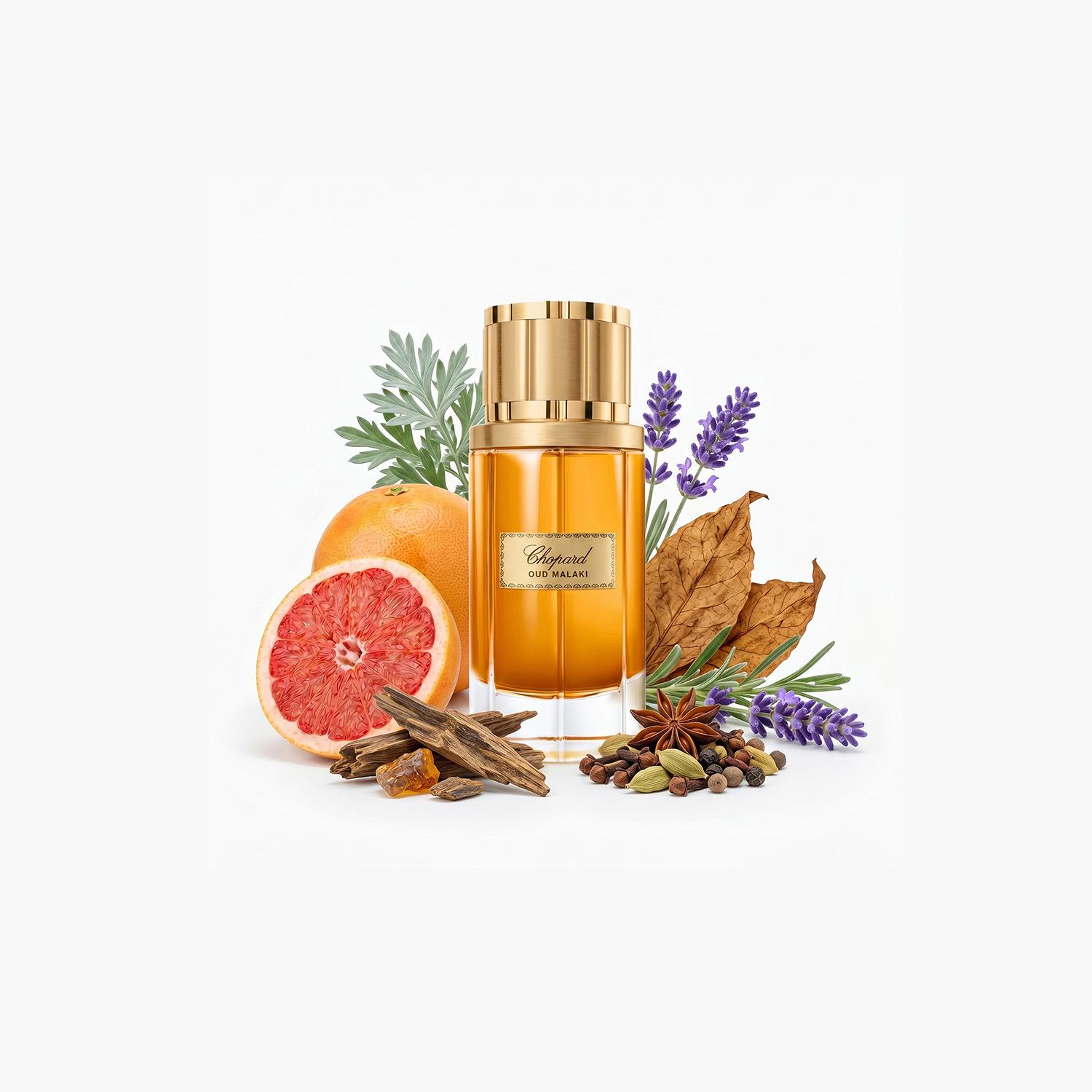 Chopard Oud Malaki Eau de Parfum for Men - 80 ml-beautyandpersonalcare-fragrance-men-image-3