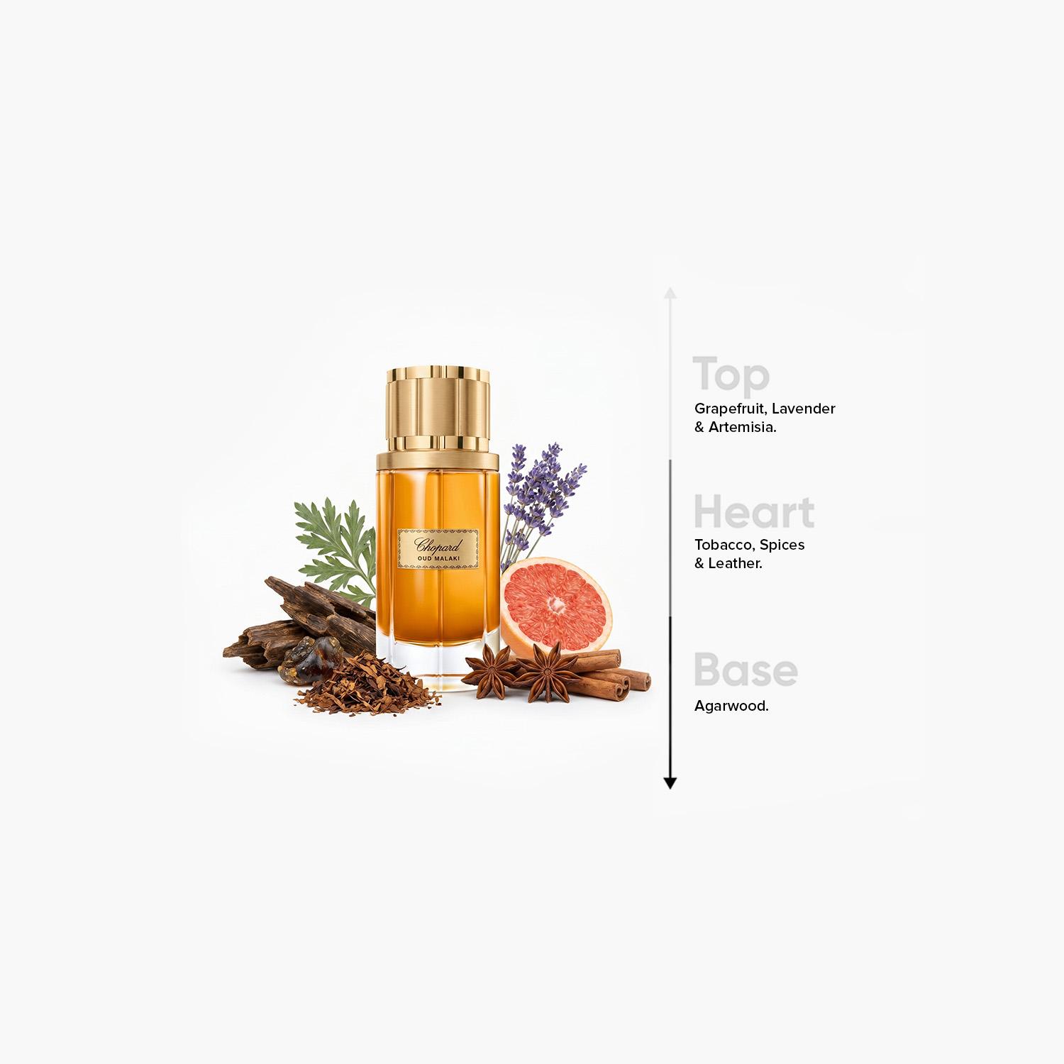 Chopard Oud Malaki Eau de Parfum for Men - 80 ml-beautyandpersonalcare-fragrance-men-image-4