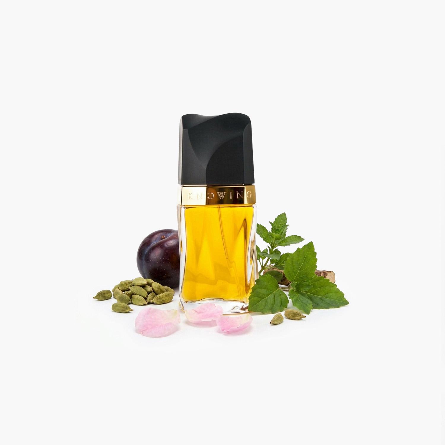عطر أو دو برفان نوينج للنساء من إستي لودر - 75 مل-beautyandpersonalcare-fragrance-women-image-3