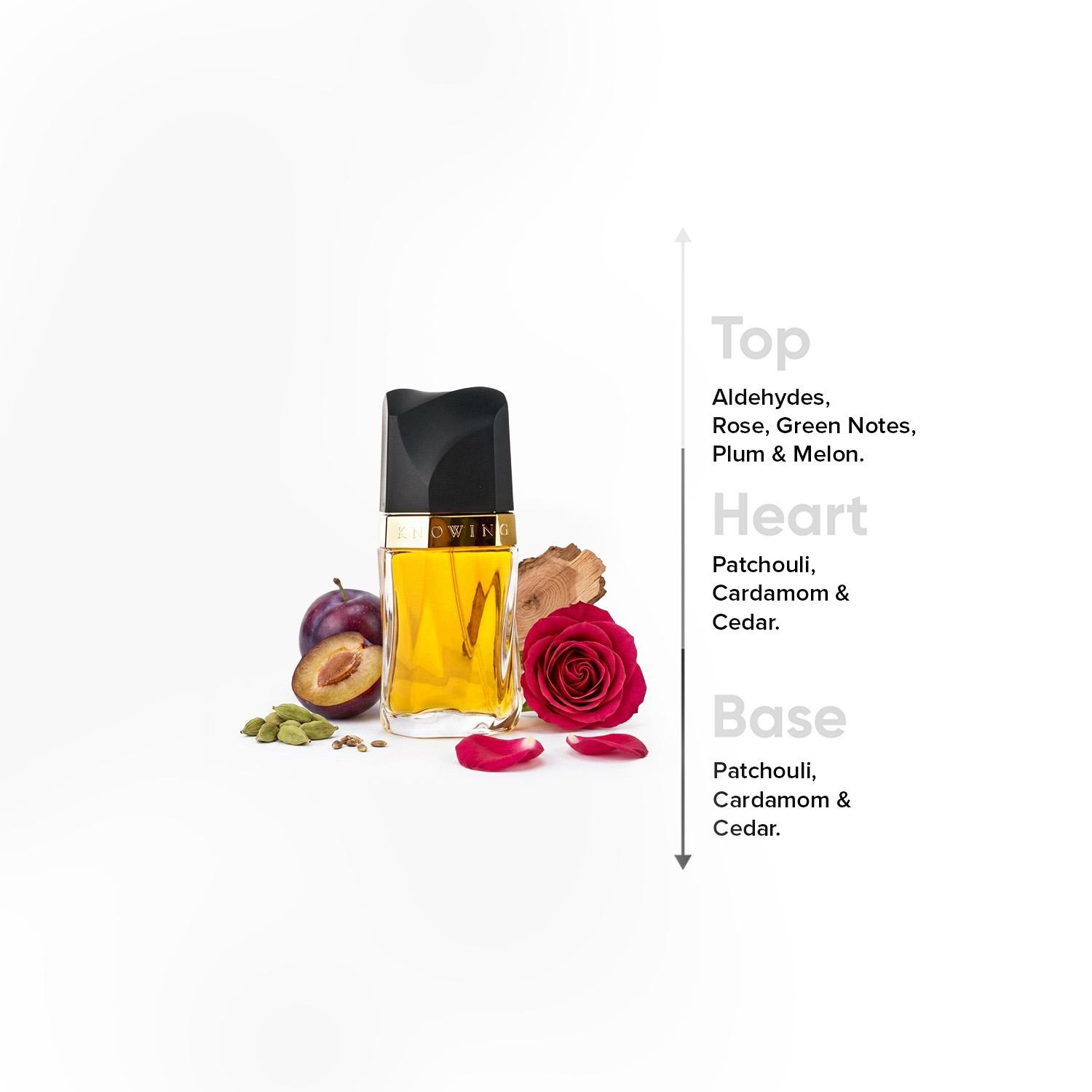 عطر أو دو برفان نوينج للنساء من إستي لودر - 75 مل-beautyandpersonalcare-fragrance-women-image-4
