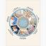 بطانية صوف - دونتيلا - 210x240 سم-InfluencerCodes_Ramadan26_All_20012026-image-3