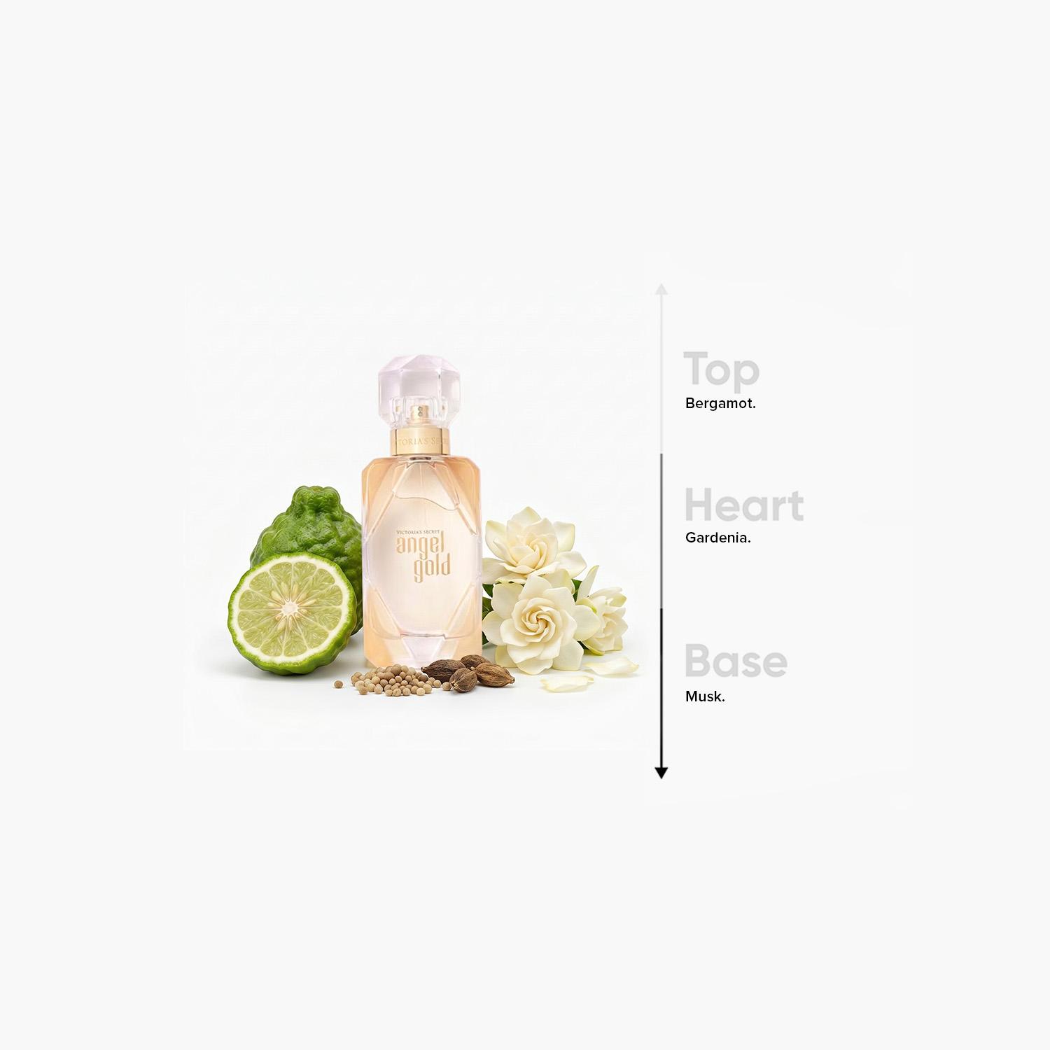عطر أو دو بارفان آنجل جولد للنساء من فيكتوريا سيكريت - 100 مل-beautyandpersonalcare-fragrance-women-image-4