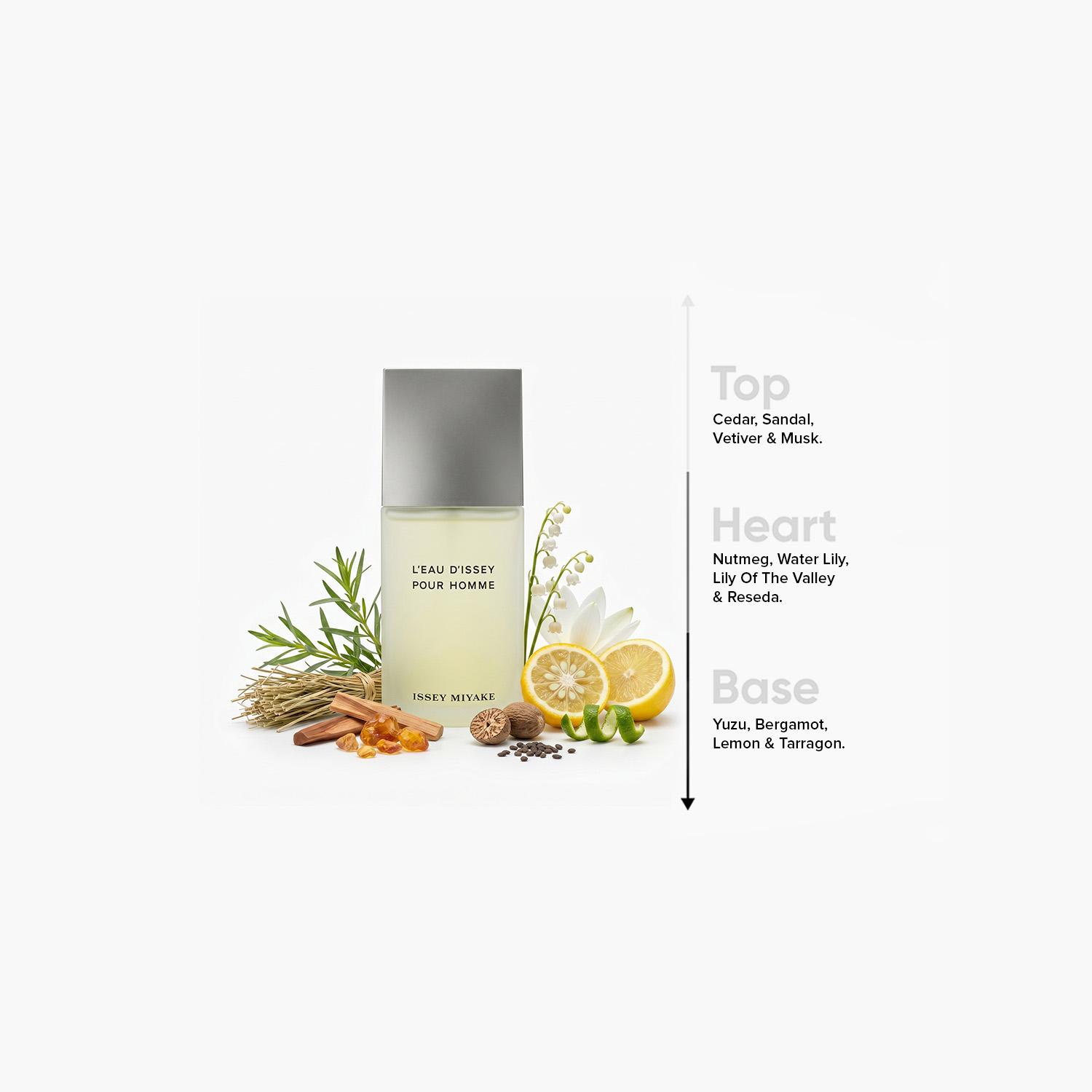 Issey Miyake L'Eau D'Issey Pour Homme Edt 200Ml-beautyandpersonalcare-fragrance-men-image-4