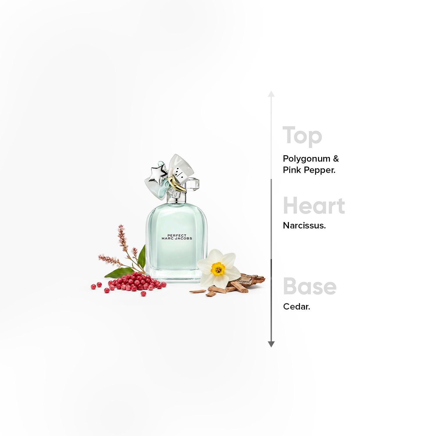 Marc Jacobs Perfect Eau de Toilette for Women - 100 ml-beautyandpersonalcare-fragrance-women-image-4