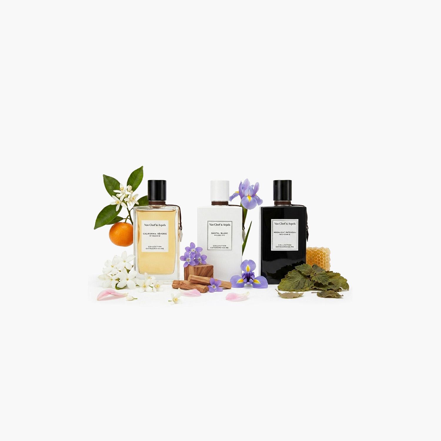 Van Cleef & Arpels Ambre California Reverie with Santal Blanc and Moonlight Patchouli Eau de Parfum-beautyandpersonalcare-fragrance-unisex-image-3