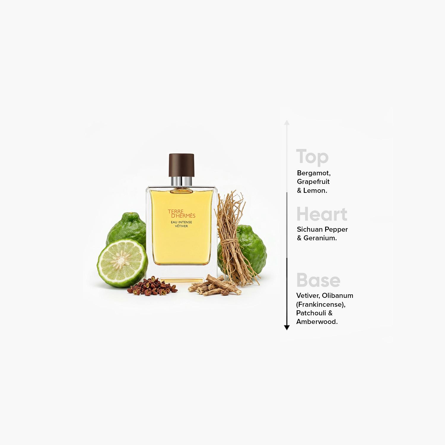 Terre D'Hermes Eau Intense Vétiver Eau De Parfum for Men - 200 ml-beautyandpersonalcare-fragrance-men-image-4