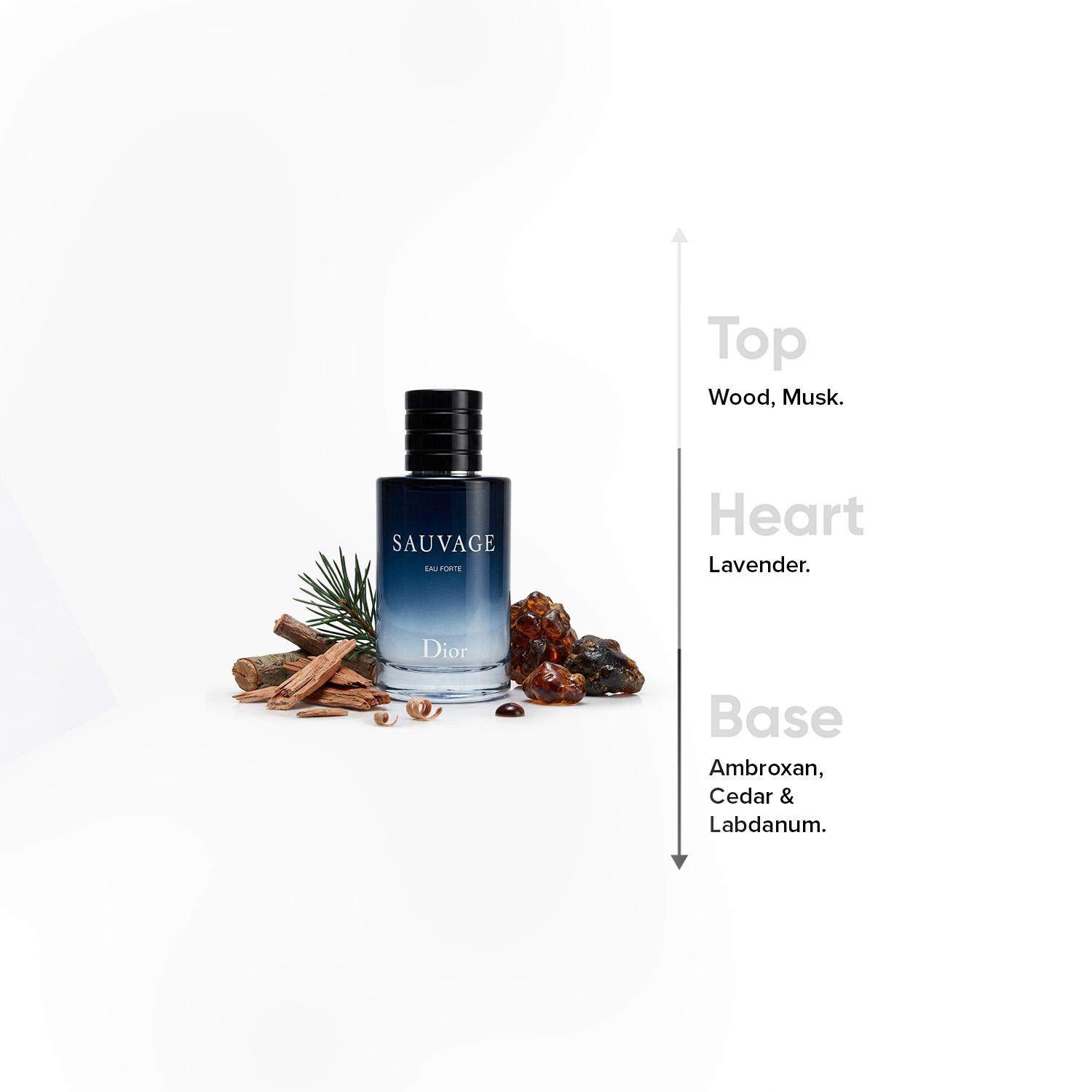 Dior Sauvage Eau Forte Parfum for Men - 100 ml-beautyandpersonalcare-fragrance-men-image-4