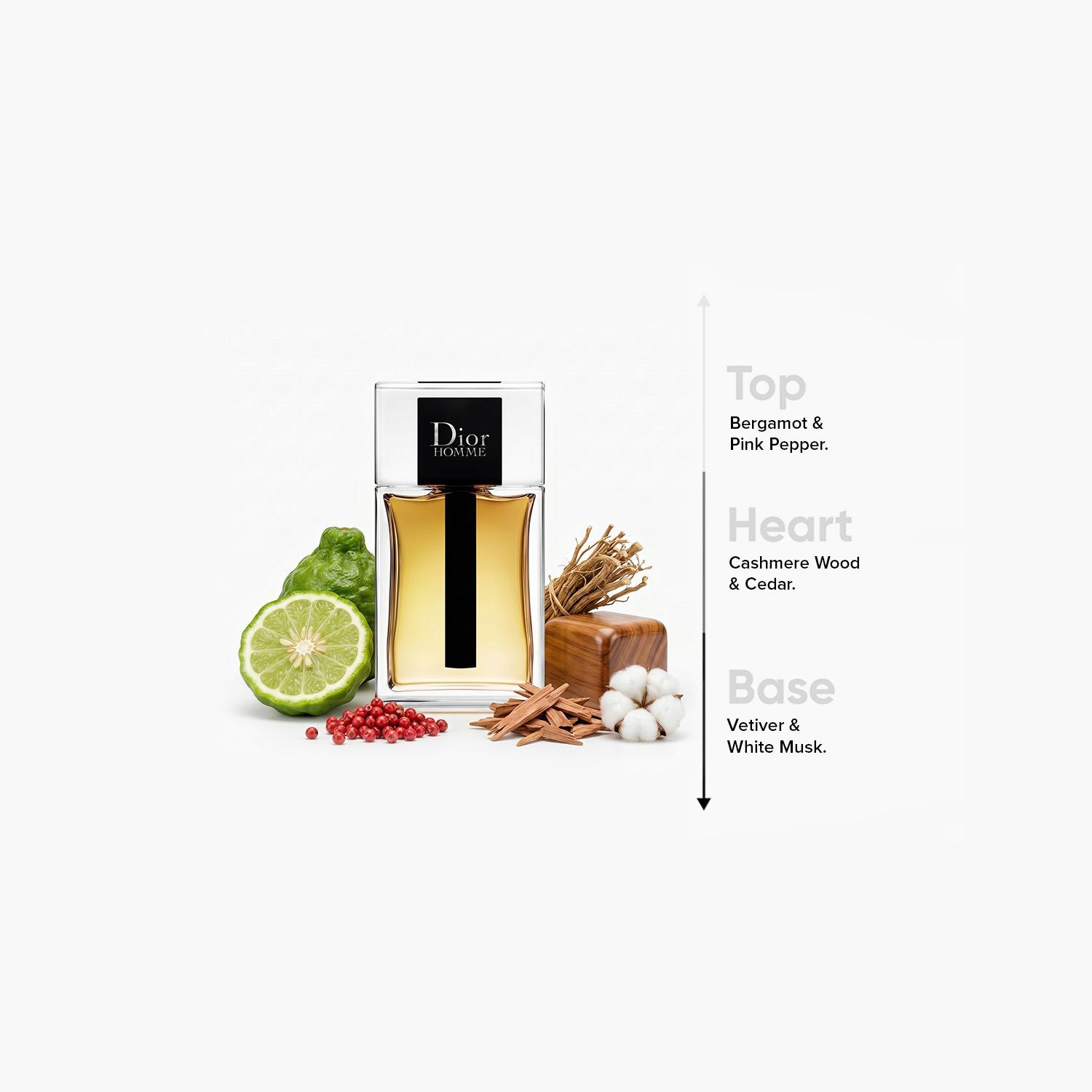 Dior Homme Eau de Toilette for Men - 100 ml-beautyandpersonalcare-fragrance-men-image-4