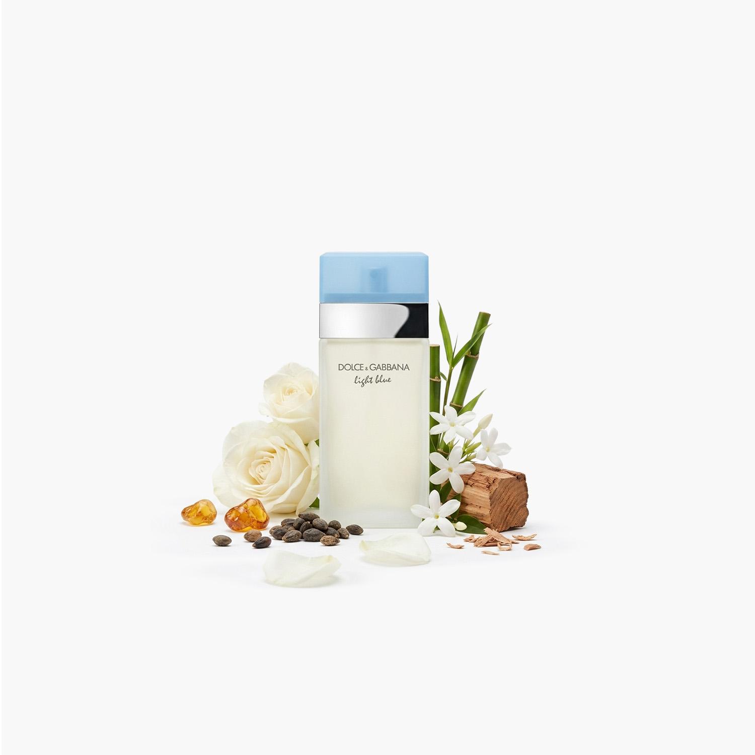 Dolce & Gabbana Light Blue Eau de Toilette for Women - 50 ml-beautyandpersonalcare-fragrance-women-image-3
