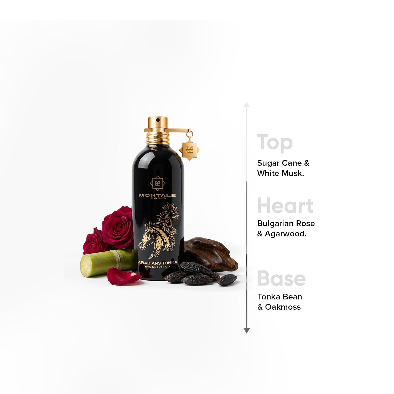 Montale Paris Arabians Tonka Eau de Parfum - 100ml-beautyandpersonalcare-fragrance-unisex-image-4