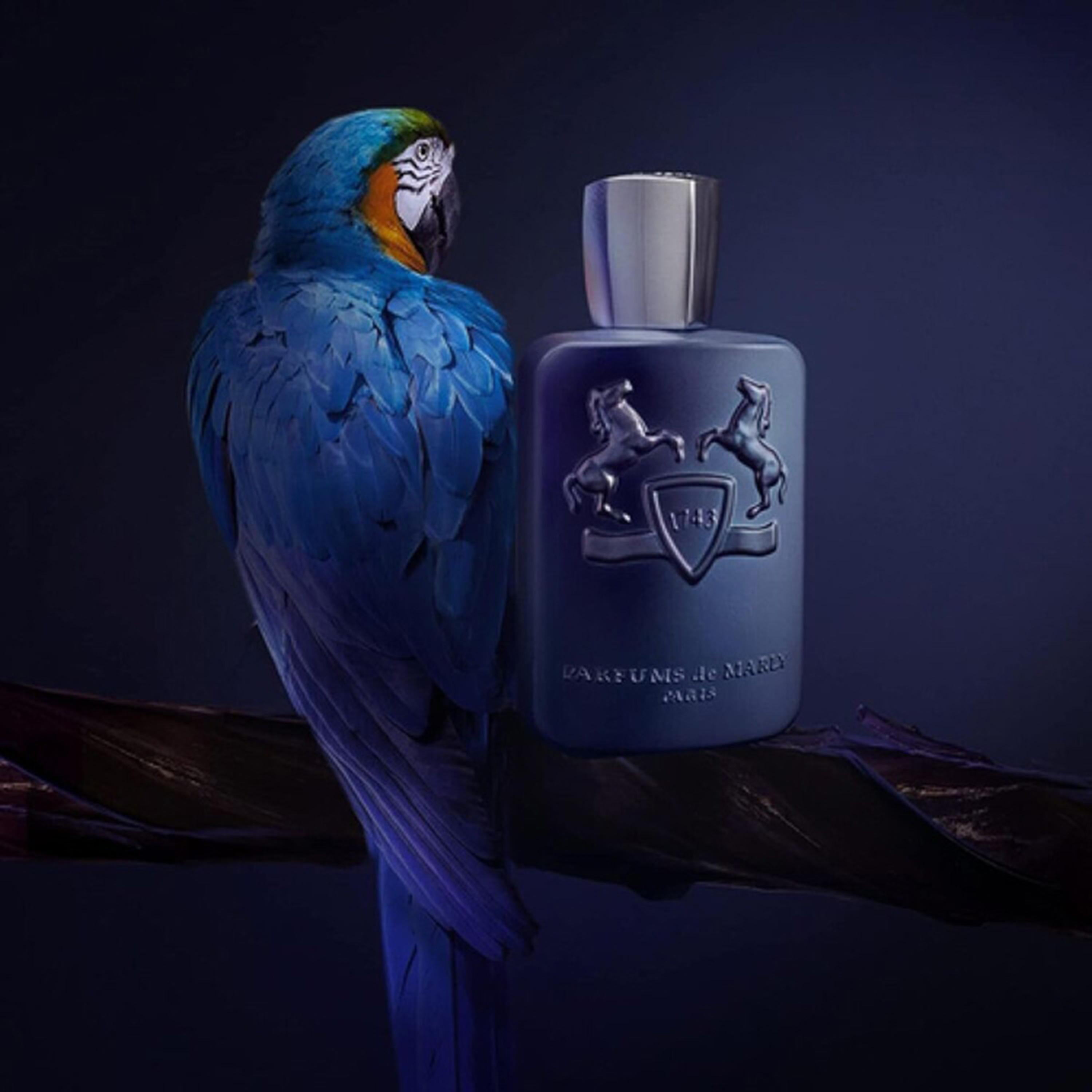 Parfums de Marly Layton Eau de Parfum - 125 ml-beautyandpersonalcare-fragrance-unisex-image-2
