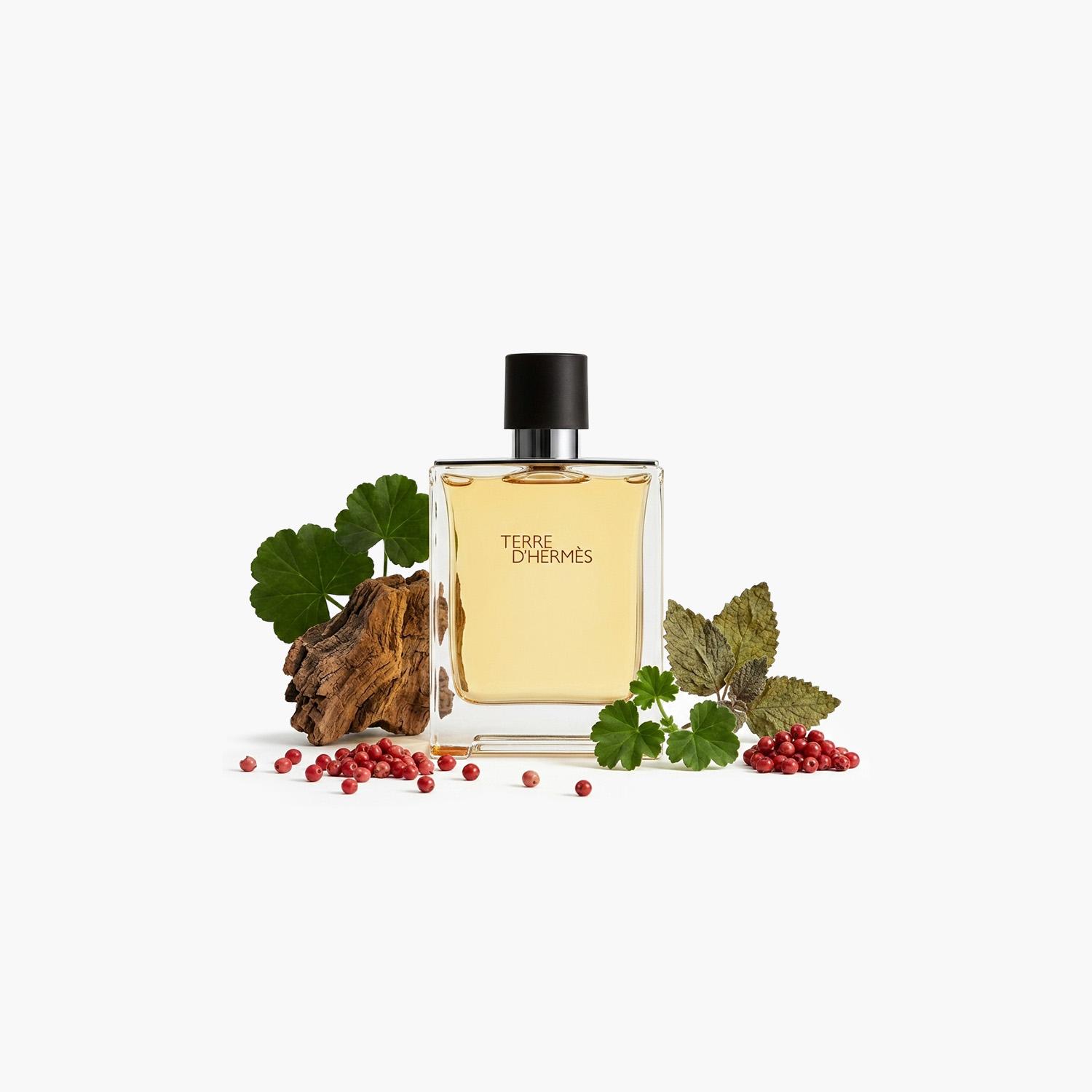 Terre D'Hermes Eau De Toilette for Men - 100 ml-beautyandpersonalcare-fragrance-men-image-3
