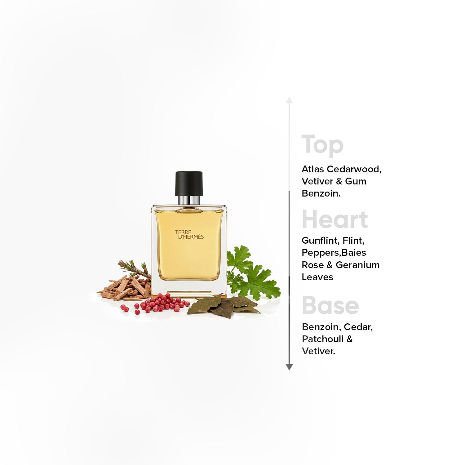 Terre D'Hermes Eau De Toilette for Men - 100 ml-beautyandpersonalcare-fragrance-men-image-4